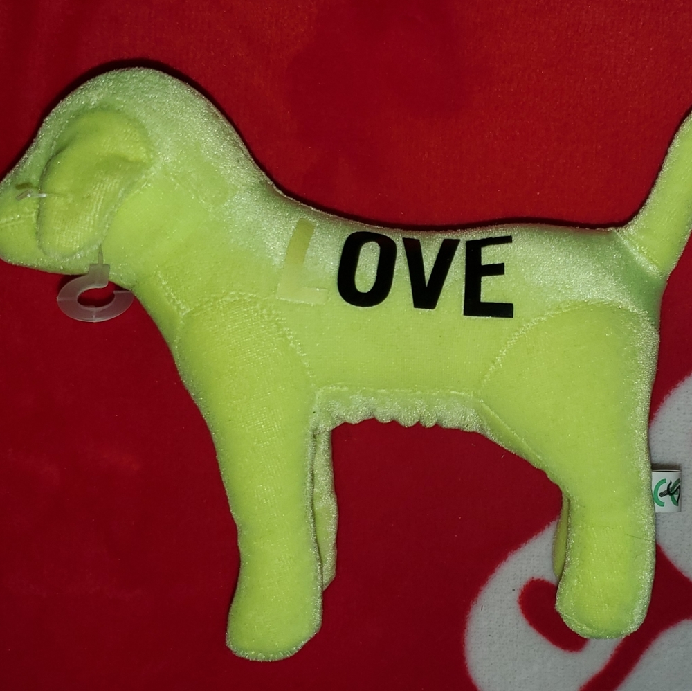 *Rare Sample Dog* NOT FOR SALE